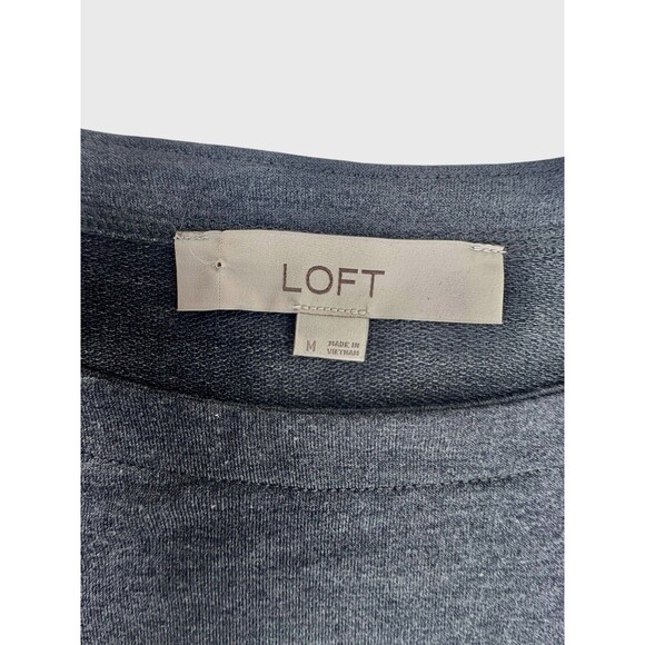 LOFT Lantern Sleeve JerseyKnit Swing Dress Gray Lagenlook Soft Capsule Neutral M - Picture 3 of 12